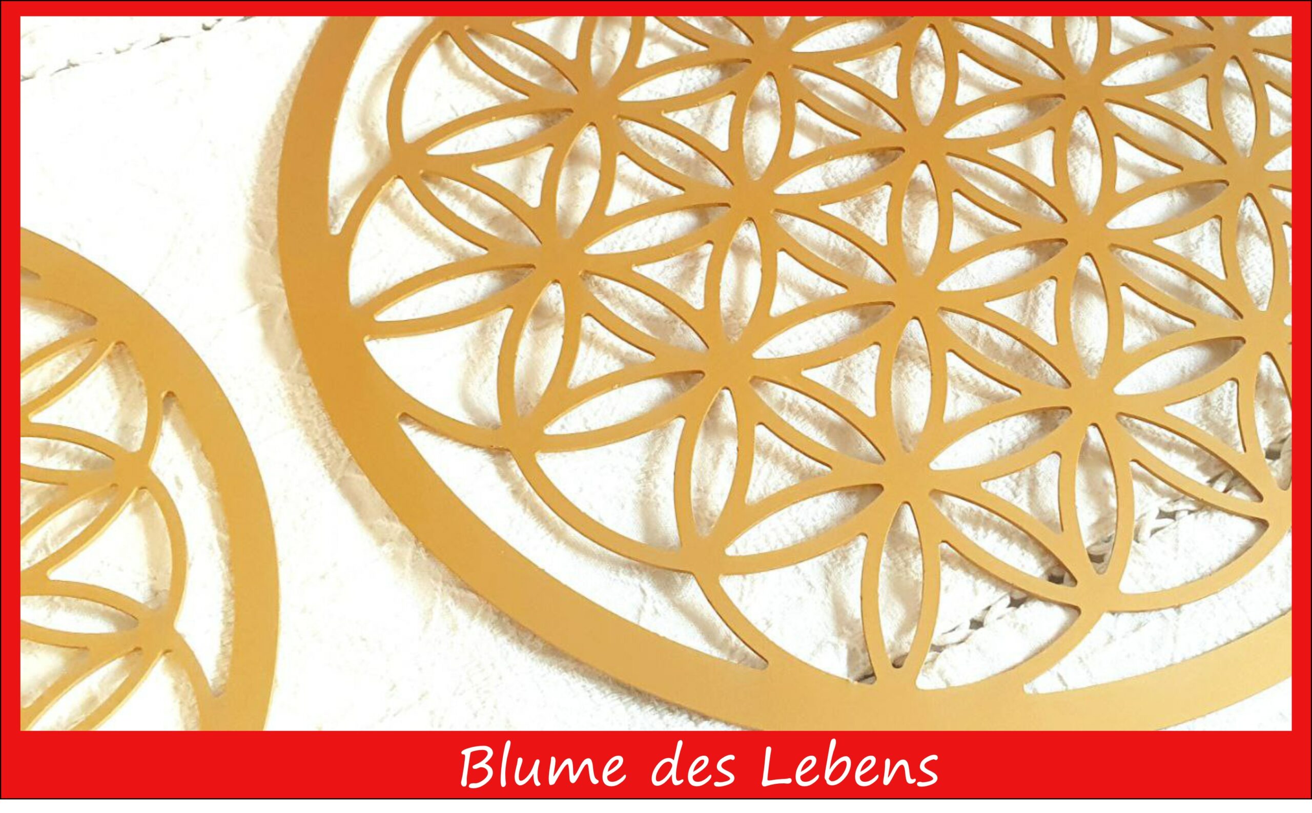 Blume des Lebens (30 cm)